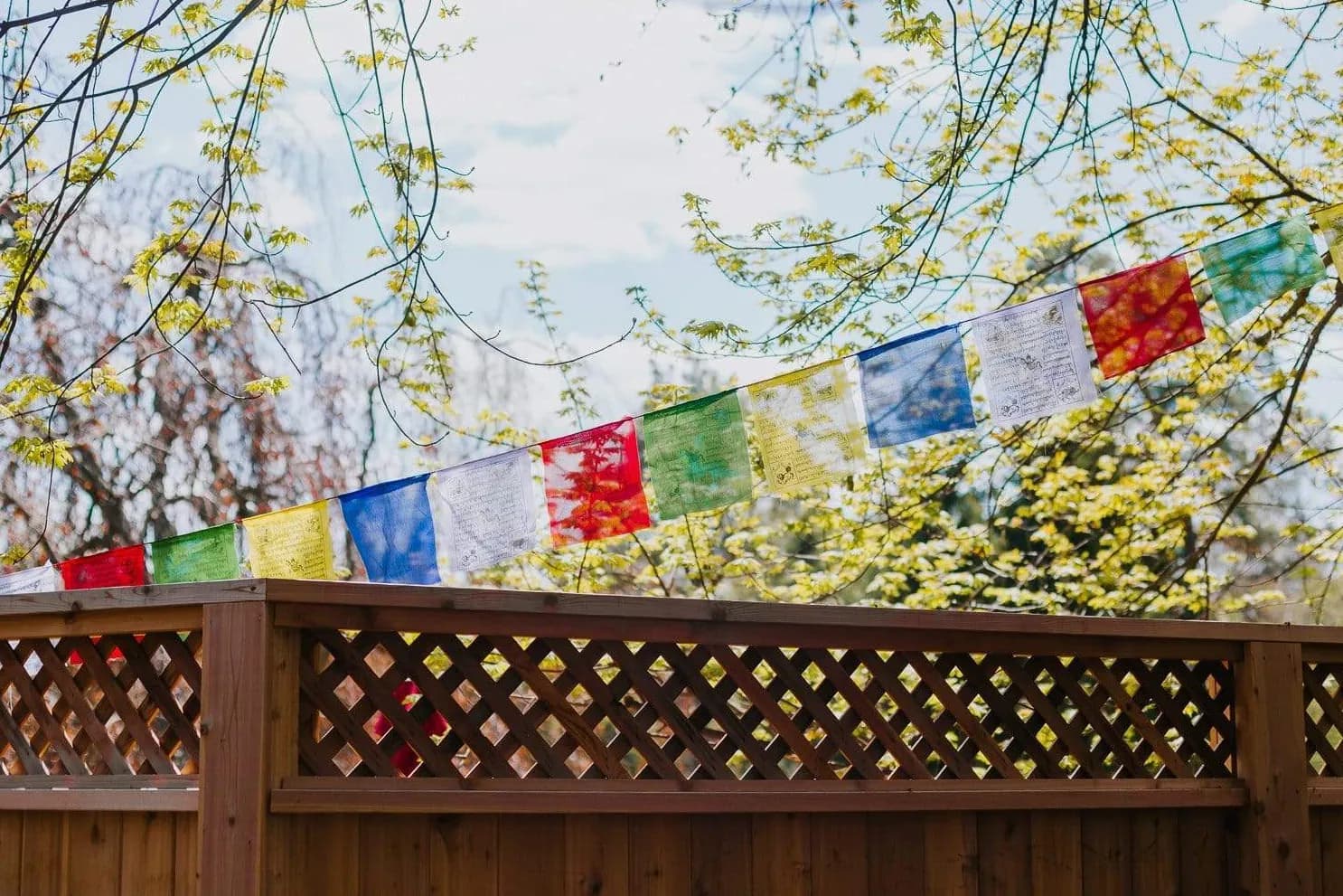 Tibetan flags hanging in natural setting outdoors