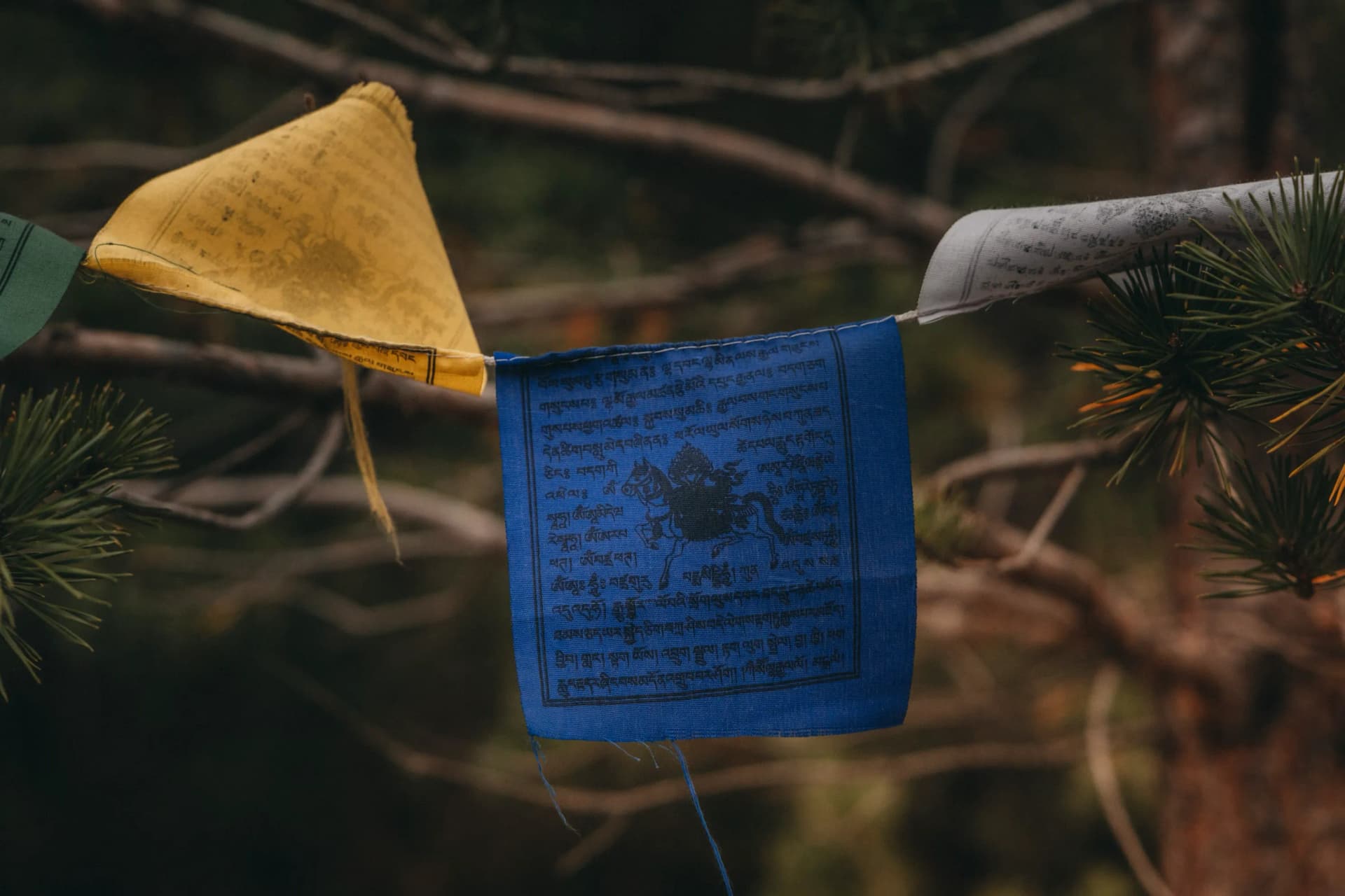 Close-up of prayer flags with Tibetan script and symbols